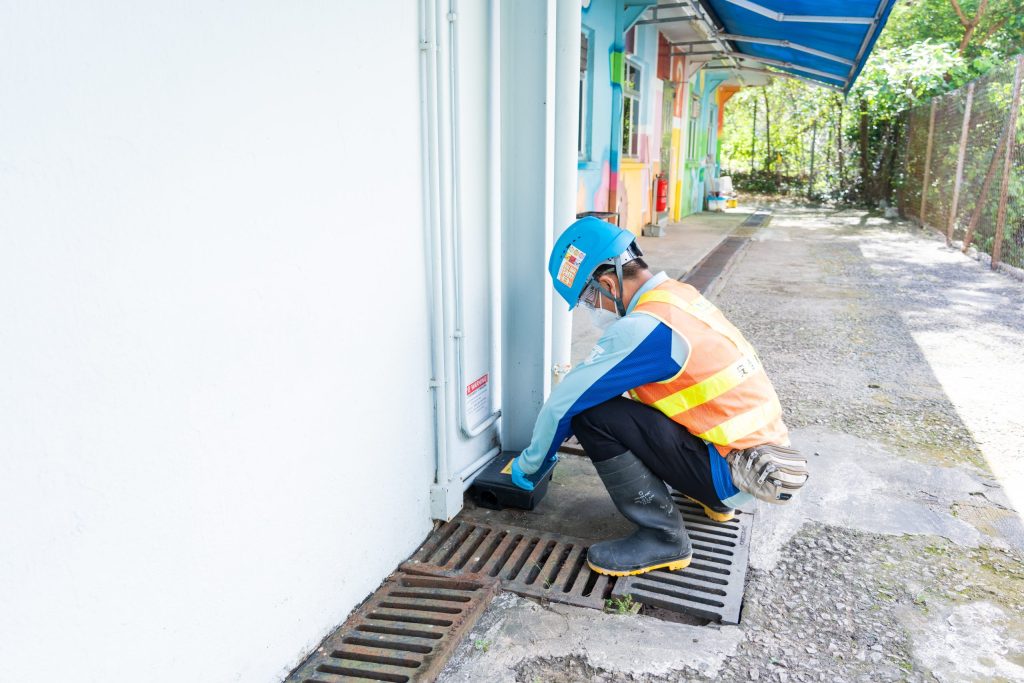 於善導會進行滅鼠行動